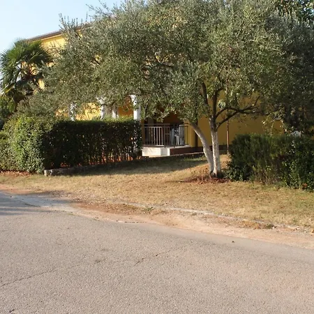 With A Parking Space - 6994 Apartment Umag