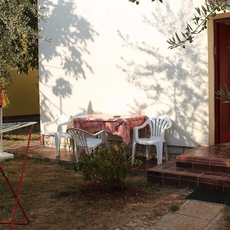 With A Parking Space - 6994 Apartment Umag