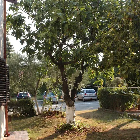 Apartamento With Parking Space - 6994 *